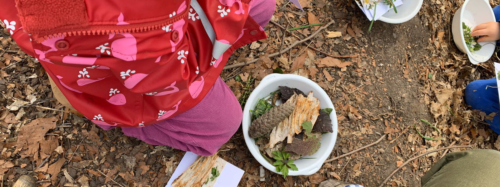 Ein Tag mit Chinderhuus Babar im Wald
